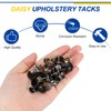 Daisy Upholstery Tacks, 7/16" x 11/16" Vintage Nails 100 Pcs