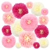 Paper Flowers Decorations, Kaluofan 16 PCS Paper Pom Poms Decorations