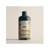 Body Shop Ginger Scalp Care Shampoo 400ML (42551) / 진저