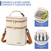 BABEYER Breastmilk Cooler Bag with Ice Pack Fits 6 Baby