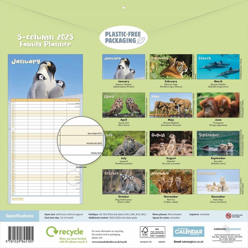 Busy Life Wall Planner 2025 (PFP)