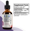 Rejuvica Health Active Elderberry Immune Support Supplement | 4 fl