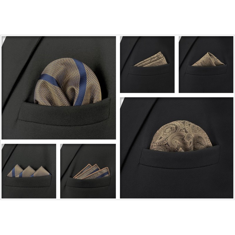 Shlax&Wing Pack of 5 Assorted Handkerchiefs for Men Square Size