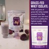 Lunar Lifts Nutrition Taro Ube Boba Tea Protein Powder |