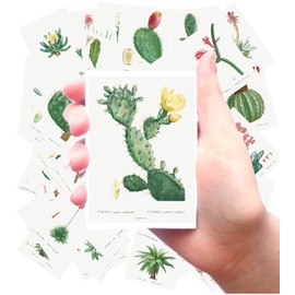 Large Stickers 24 pcs (2.5"x3.5" Each) Cactus and Succulents Vintage Botannical Books Illustrations by Redoute FLONZ Ephemera for Craft and Scarpbooking