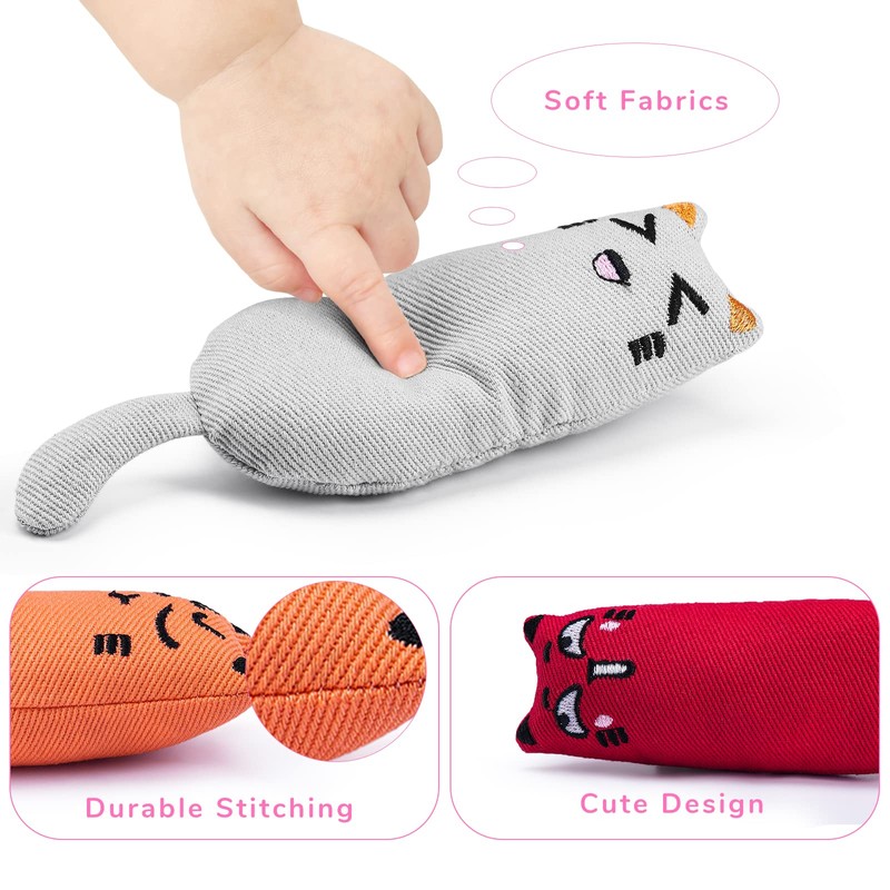 Legendog 5Pcs Bite Resistant Catnip Toy for Cats,Catnip Filled Cartoon