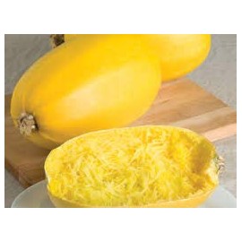 Hart Seed Squash Spaghetti 3G