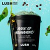 Rush Lush Mask of Magnaminty 315g - Power Mask/Face and