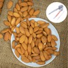 Duoduole 1 PCS Nut Cracker Sturdy Pecan Nutcracker Nut Cracker