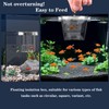 WEAVERBIRD Aquarium Fish Breeder Box, Acrylic Fish Isolation Breeding Box,