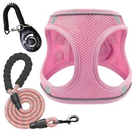 3Pcs Dog Harness and Leash Set, Mesh Pet Vest Set with Lead Clicker for Walking Training Daily