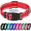 TECEUM - Collar para perro azul cielo - Collar para