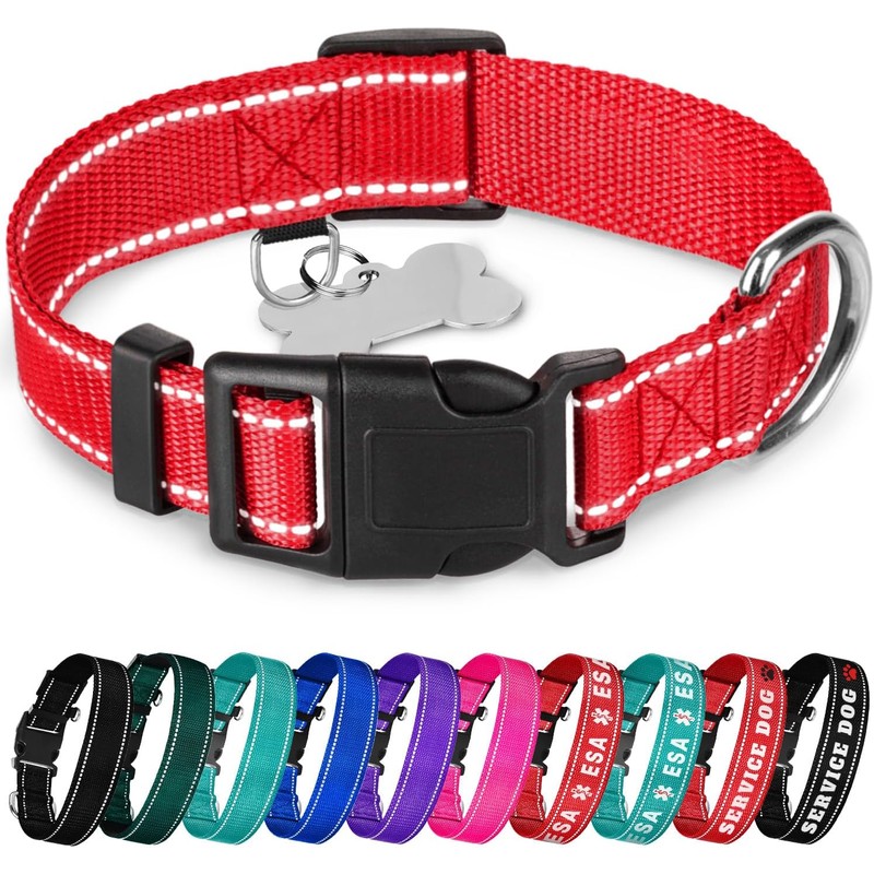 TECEUM - Collar para perro azul cielo - Collar para