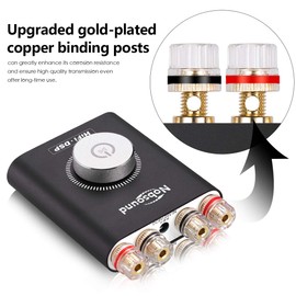 Nobsound NS-20G Mini Digital Power Amplifier Bluetooth Hifi Stereo Amp 100W+100W with power supply (Black)