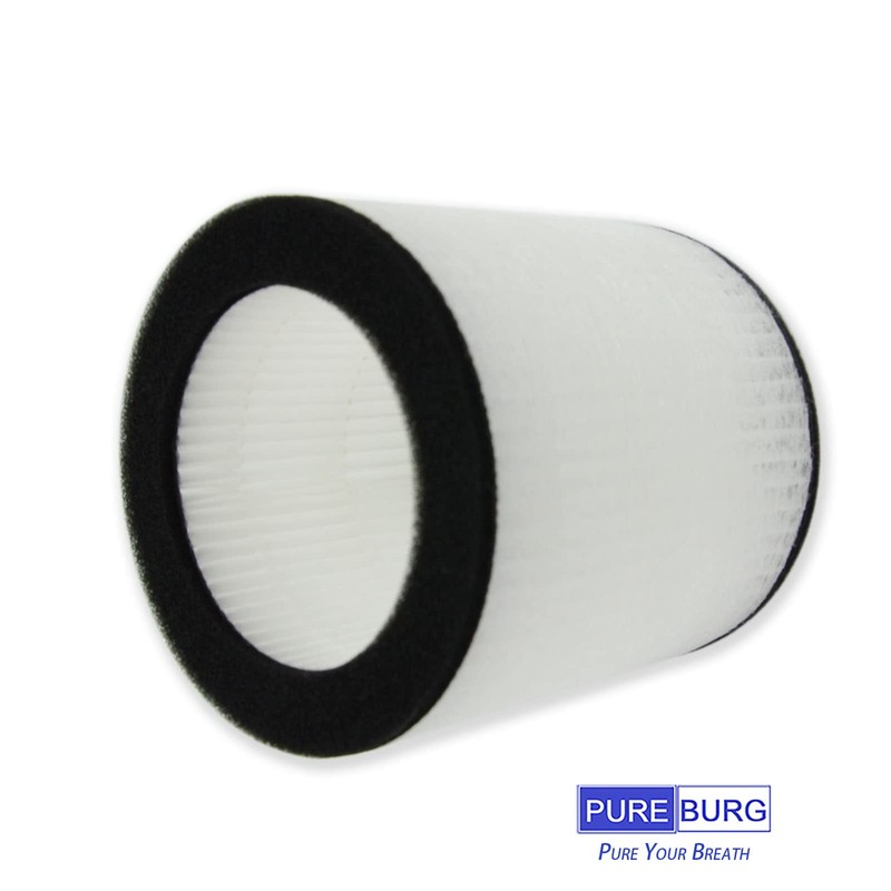 PUREBURG 2-Pack Replacement HEPA Filters Compatible with HIMOX H07 portable