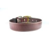 Cango Collar para Perro de Piel Hecho a Mano 100%