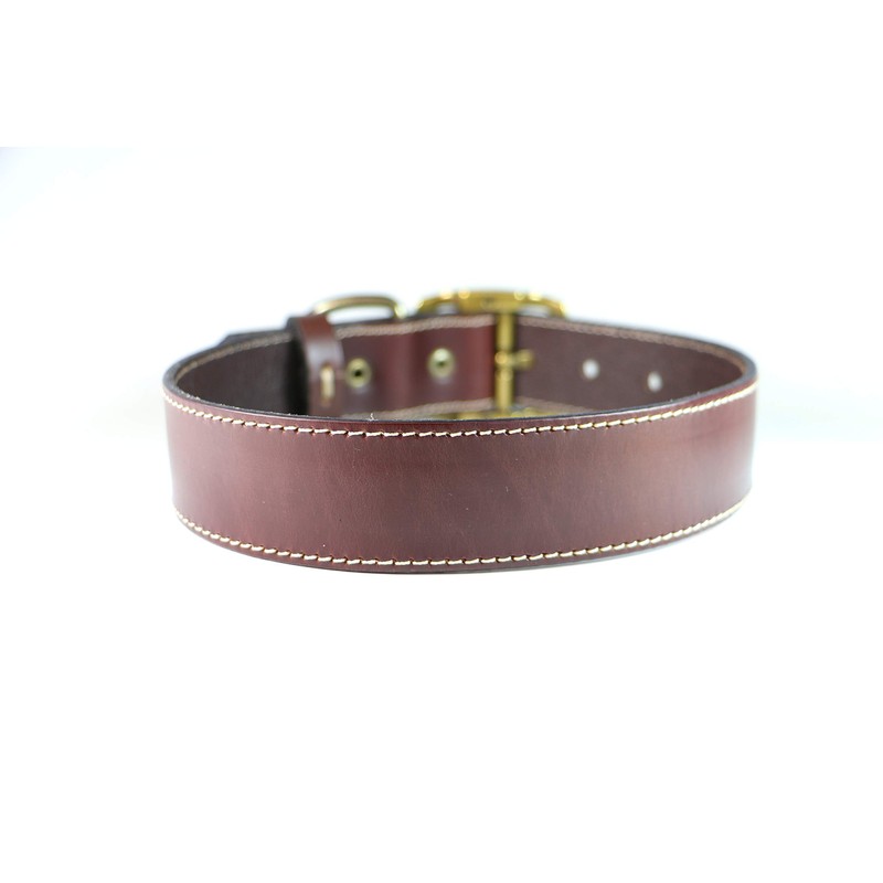 Cango Collar para Perro de Piel Hecho a Mano 100%