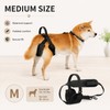 Adjustable Dog Rear Leg Lift Harness – Padded Hind Leg