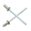 Piutouyar 100Pcs 1/8" x 1/4" Stainless Steel Pop Rivets Assortment,