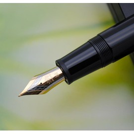 JINHAO DADAO 9019 Fountain Pen Acrylic Ink Pen with Ink Converter (Medium Nib, Black)