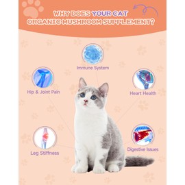 Collagen for Cats - Skin and Coat Supplement - Liquid Grass Fed Collagen for Cats - Hip & Joint, Digestive & Immunity Support - with MSM, Hyaluronic Acid, Biotin - Roast Chicken Flavor, 60 ML