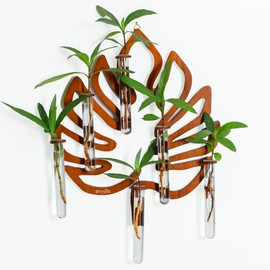 2Special Propagation Stations | Hanging Propagation Station and Wall Planters for Indoor Plants | Wooden Wall Vase, 6+1 Glass Propagation Vases for Plants | Leaf Shape Plant Propagation Station