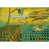 Tushita Salvador Dali The Disintegration Of The Persistence Art Postcard