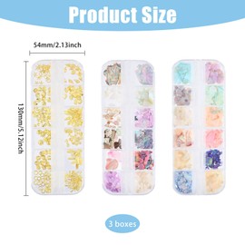CHGCRAFT 3 Boxs 36 Grids Seashell Nail Art Slices Nail Flakes Irregular Shell Slices Nail Art Glitter Flakes False Acrylic Nails Supplies, Mixed Color
