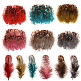 MWOOT Pack of 120 Coloured Feathers, 6 Colours, Colourful Mini Feathers, 4-8 cm Craft Feathers, DIY Dream Catcher Feathers, Feather for DIY Earrings, Jewellery, Wedding, Home, Decoration, Brown, Black, Red, Yellow, Pink, Blue