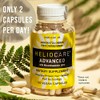 Heliocare Advanced Niacin B3 Supplement: Fernblock PLE Extract 240mg Per