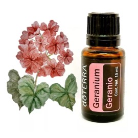 Doterra Aceite Esencial Doterra De Geranio Nuevo De 15 Mililitros