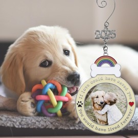 Dog Memorial 2025 Photo Ornament - If Love Could Have Saved You - Paw Prints and Heart Design - Loss of Pet Sympathy Gift - Gift/Storage Bag Included - 4.5" H x 3.5" W