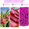 Dried Diced Dragon Fruit 4.93OZ/140G Dried Dragon Fruit Chips Snack,Cubes,