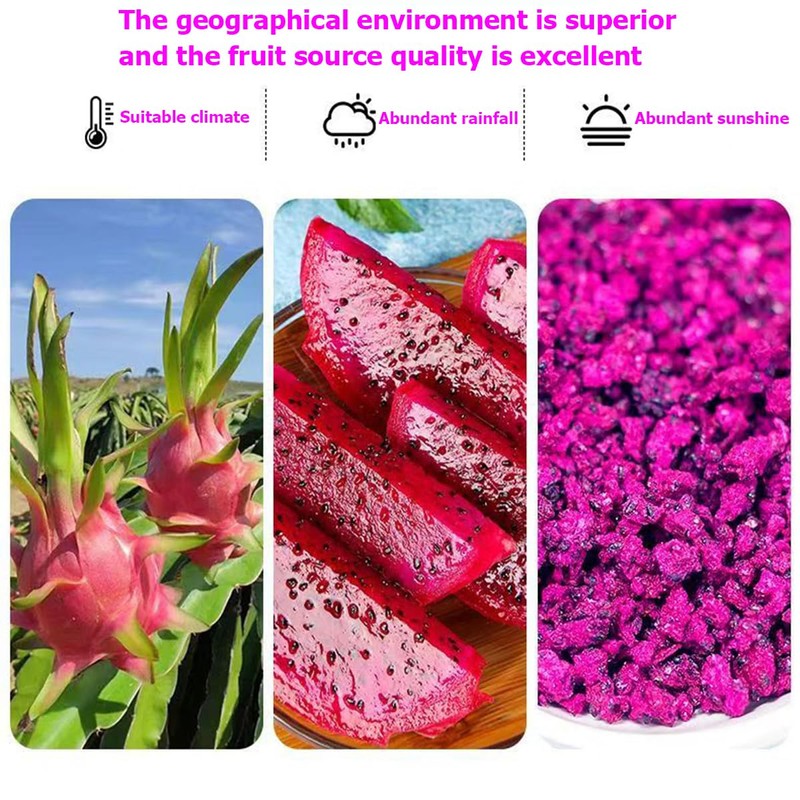 Dried Diced Dragon Fruit 4.93OZ/140G Dried Dragon Fruit Chips Snack,Cubes,
