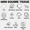 5000 Sheets - Soft Serviette Napkins, 1Ply Mini Square Tissue,
