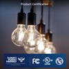 FLSNT 60W Equivalent LED Globe Candelabra Bulbs, Dimmable G16.5 LED