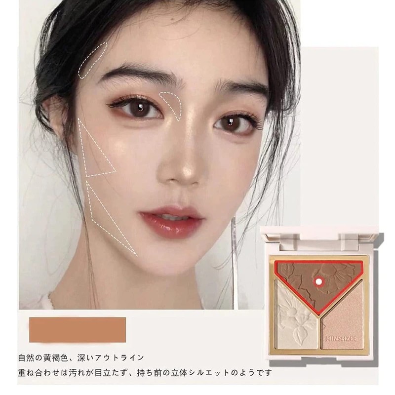 Artist of Light and Shadow Cheek Shading Highlights All-in-One Disc