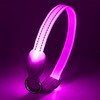 LED Luminous Dog Collars (Purple, XS)