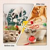 JinRui-T 2 PCS Active Rolling Ball with Tail for Dogs,Chewie