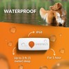 Weenect Dog XS - New GPS Tracker for Dogs |
