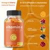 NutraChamps NutraChamps (2-Pack) Vitamin C Gummies and Elderberry Gummies Bundle