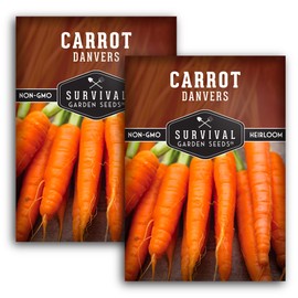 2 Packs Danvers Carrot Seed for Planting - Packet with Instructions to Grow Long Storing Deep Orange Carrots in Your Home Vegetable Garden - Non-GMO Heirloom Variety - Survival Garden Seeds