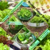 SEOIMU 20 pieces + 20 pieces snail net, snail collar,