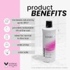 Kenra Professional Volume Shampoo | Creates Body, Bounce & Fullness