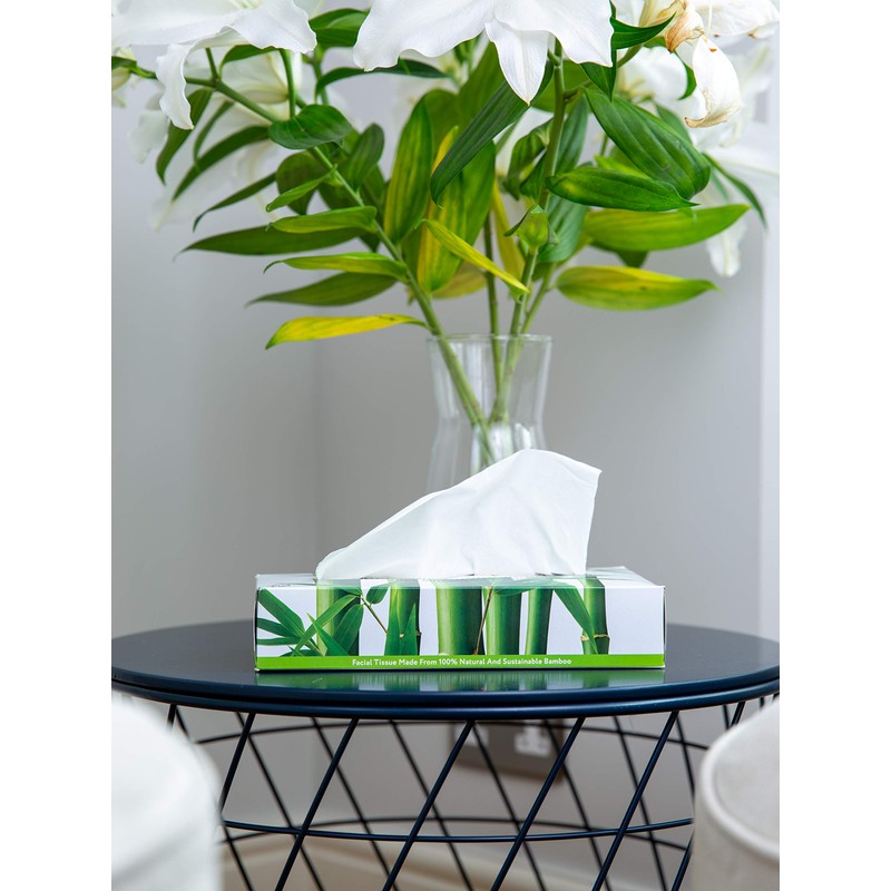 The Cheeky Panda Bamboo Tissues | Box of 80 Tissues