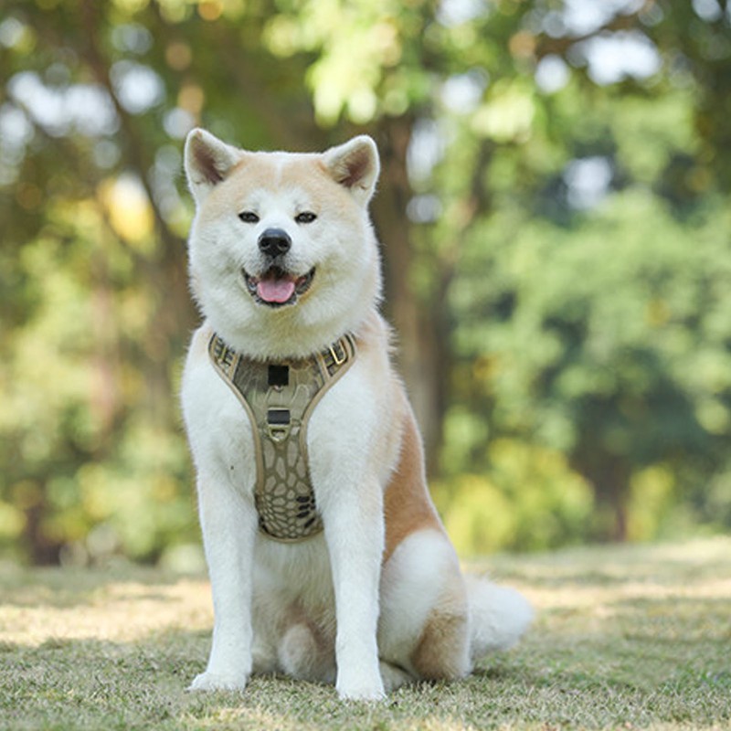 Pet Sports Harness Adjustable Dog Chest Harness Lightweight Breathable Dog