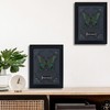 Real Framed Butterfly Taxidermy - Shadow Box, Real Framed Butterfly