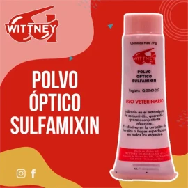 Polvo Optico Wittney 29 Gramos *2 Piezas*