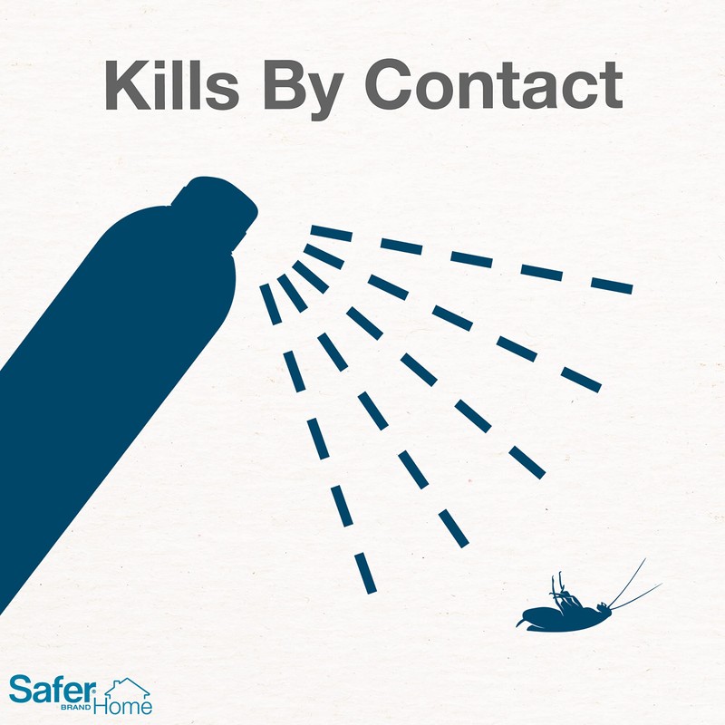 Safer Home SH111 Indoor Ant, Roach, Spider, Fly, Silverfish &