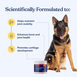 Honest Paws Glucosamine for Dogs – Joint & Mobility Supplement Powder with Green Lipped Mussel, Fish Oil & MSM – Supports Hip & Joint Health, Support Stiffness, Dog Supplies